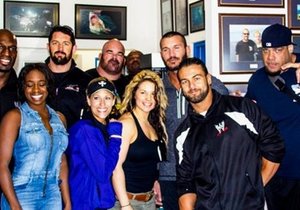 WWE Rofstoei Supersterre